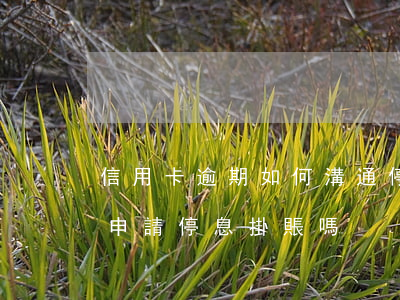 信用卡逾期如何溝通停息掛賬(欠信用卡可以申請停息掛賬嗎)