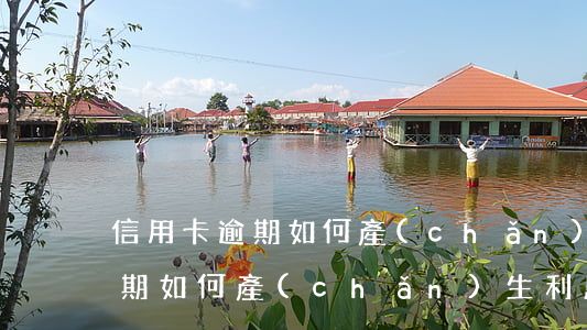 信用卡逾期如何產(chǎn)生(信用卡逾期如何產(chǎn)生利息)