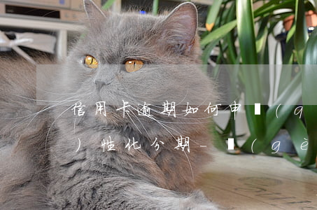 信用卡逾期如何申請(qǐng)個(gè)性化分期-個(gè)性化分期以后逾期還能再做個(gè)性化分期嗎