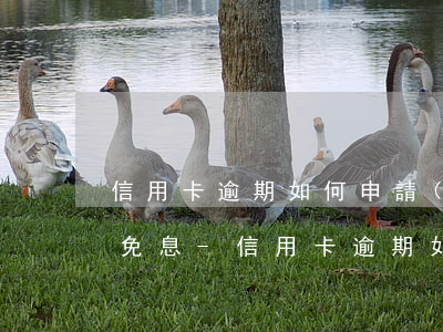 信用卡逾期如何申請(qǐng)停息分期免息-信用卡逾期如何申請(qǐng)停息分期免息還款