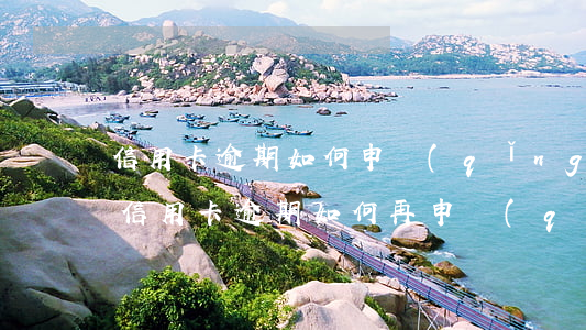 信用卡逾期如何申請(qǐng)減免利息（信用卡逾期如何再申請(qǐng)）