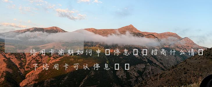 信用卡逾期如何申請停息掛賬招商(什么情況下信用卡可以停息掛賬)
