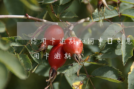 信用卡逾期如何申請免息分期郵政-郵儲信用卡 逾期