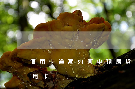 信用卡逾期如何申請房貸(有逾期如何申請信用卡)