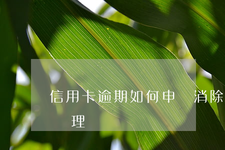信用卡逾期如何申請消除 最新的信用卡逾期處理