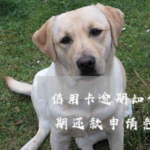 信用卡逾期如何申请免息分期光大-光大逾期还款 申请免