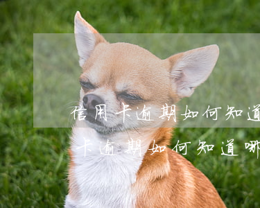 信用卡逾期如何知道哪个银行立案了-信用卡逾期如何知道哪个银行立案了呢