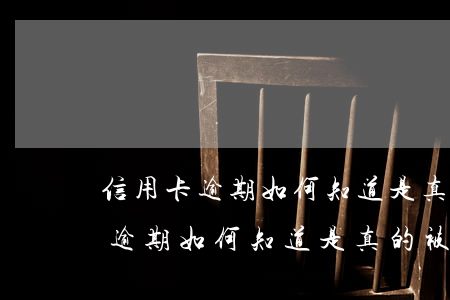 信用卡逾期如何知道是真的被起訴-信用卡逾期如何知道是真的被起訴了