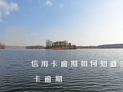 信用卡逾期如何知道立案沒(怎么能查出信用卡逾期)