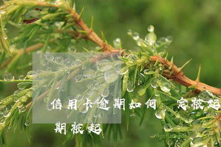 信用卡逾期如何確定被起訴(怎么查信用卡逾期被起訴)