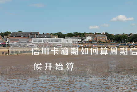 信用卡逾期如何算周期(信用卡逾期从什么时候开始算)
