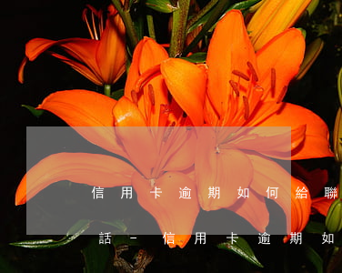信用卡逾期如何給聯(lián)系人打電話-信用卡逾期如何給聯(lián)系人打電話投訴