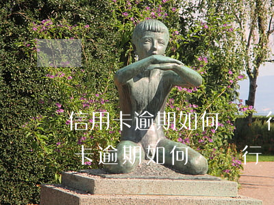 信用卡逾期如何與銀行協(xié)商(信用卡逾期如何與銀行協(xié)商)