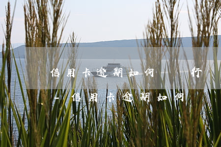 信用卡逾期如何與銀行協(xié)商還款-信用卡逾期如何與銀行協(xié)商還款能減免多少