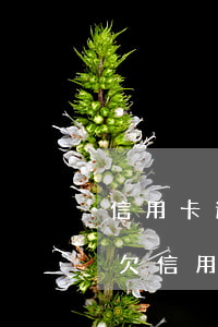 信用卡逾期如何處理協(xié)商還款-欠信用卡怎么協(xié)商還款