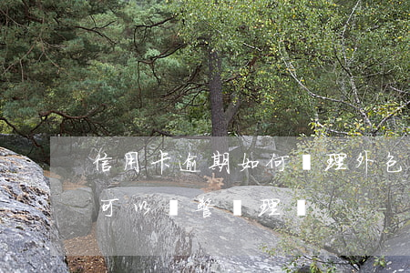 信用卡逾期如何處理外包騷擾(外包催款我們可以報警處理嗎)