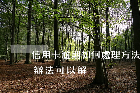 信用卡逾期如何處理方法(信用卡逾期有什么辦法可以解決)