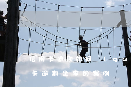 信用卡逾期如何規(guī)避坐牢(有信用卡逾期坐牢的案例嗎)