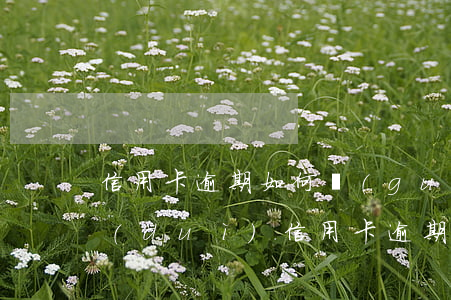 信用卡逾期如何規(guī)避起訴(銀行對(duì)信用卡逾期怎么處理)