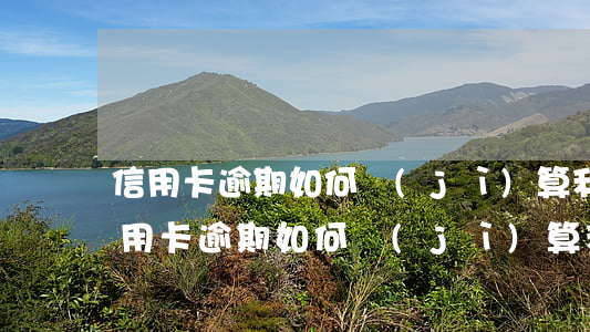 信用卡逾期如何計(jì)算利息和罰金(信用卡逾期如何計(jì)算利息和罰金利率)