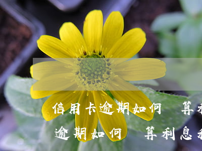 信用卡逾期如何計算利息和違約金-信用卡逾期如何計算利息和違約金呢