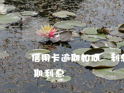 信用卡逾期如何記利息-信用卡 逾期罰息 逾期利息