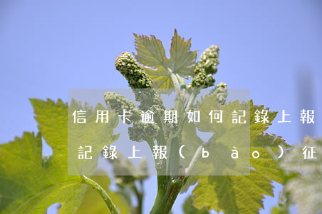 信用卡逾期如何記錄上報(bào)-逾期記錄上報(bào)征信