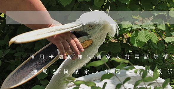 信用卡逾期如何讓家人打電話求情-信用卡逾期如何讓家人打電話求情投訴