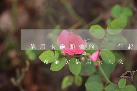 信用卡逾期如何讓銀行起訴我-銀行起訴我惡意拖欠信用卡怎么辦