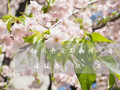 信用卡逾期如何購房貸款(信用卡逾期了能辦理住房貸款買房嗎)