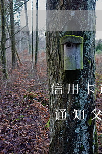 信用卡逾期如何跟父母說(信用卡逾期多久會通知父母)