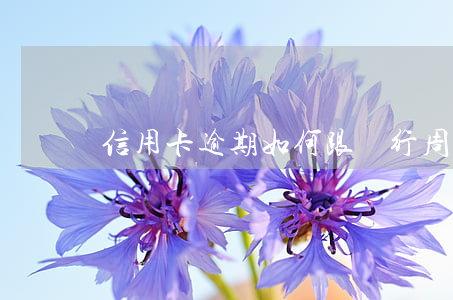 信用卡逾期如何跟銀行周旋