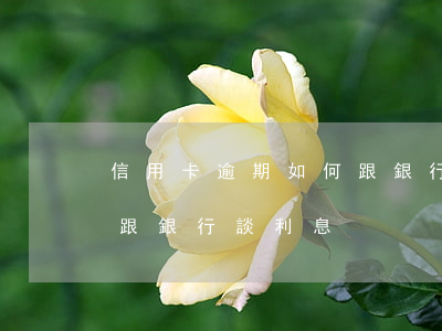 信用卡逾期如何跟銀行談-信用卡逾期如何跟銀行談利息
