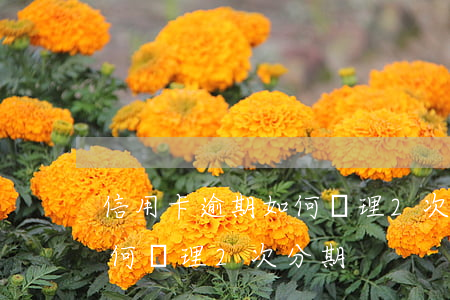信用卡逾期如何辦理2次分期 信用卡逾期如何辦理2次分期