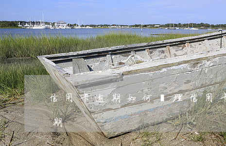 信用卡逾期如何辦理 信用卡逾期如何辦理分期