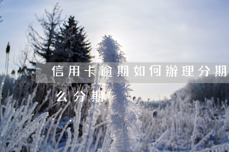 信用卡逾期如何辦理分期還款(信用卡逾期怎么分期)