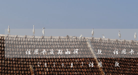 信用卡逾期如何辦貸款嗎(信用卡逾期可以申請(qǐng)信用貸款嗎)