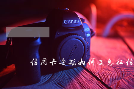 信用卡逾期如何追息(征信有信用卡逾期怎么辦)
