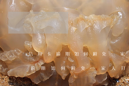 信用卡逾期如何避免給家人打電話-信用卡逾期如何避免給家人打電話呢