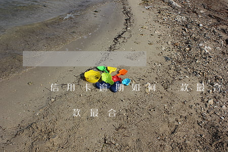 信用卡逾期如何還款最合適(信用卡逾期如何還款最合適)