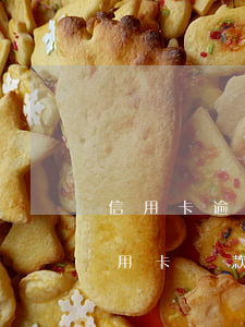 信用卡逾期如何還款記錄查詢(xún)(信用卡還款記錄查詢(xún))