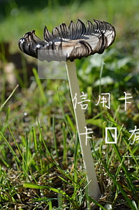 信用卡逾期如果一年還清了(逾期還完的信用卡還有年費(fèi)嗎)