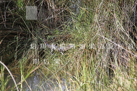 信用卡逾期如果立案后意味著什么(信用卡 逾期 后果)