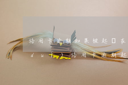 信用卡逾期如果被起訴在哪里起訴(銀行對(duì)信用卡逾期起訴流程)