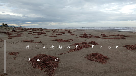 信用卡逾期如果還不上怎么辦(還不上信用卡怎么處理)