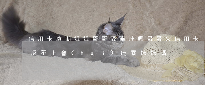 信用卡逾期姐姐哥哥受牽連嗎(哥哥欠信用卡還不上會(huì)連累妹妹嗎)