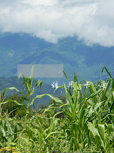 信用卡逾期委托人協(xié)商費用(律師協(xié)商信用卡逾期)