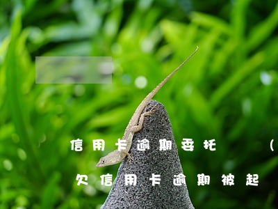 信用卡逾期委托債務(wù)公司防止起訴(欠信用卡逾期被起訴)