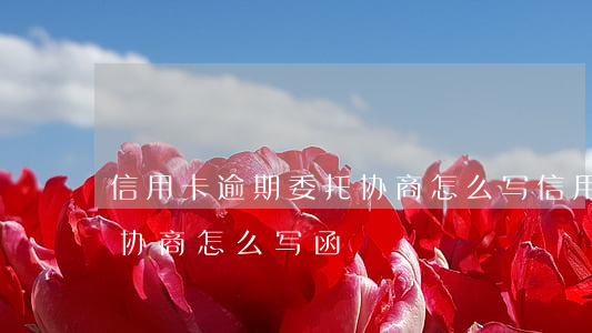 信用卡逾期委托协商怎么写(信用卡逾期委托协商怎么写函)