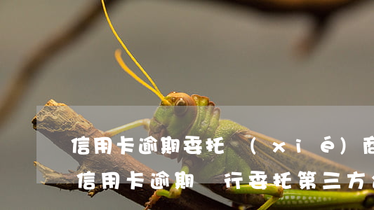 信用卡逾期委托協(xié)商的人可靠嗎(信用卡逾期銀行委托第三方合法嗎)